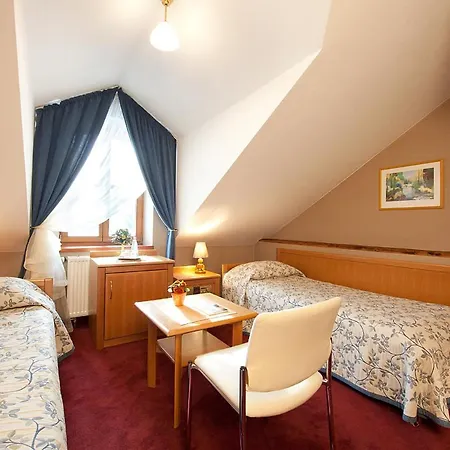 蓝天鹅酒店 克拉科夫